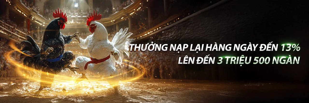 Đá Gà Trực Tuyến 88BLC