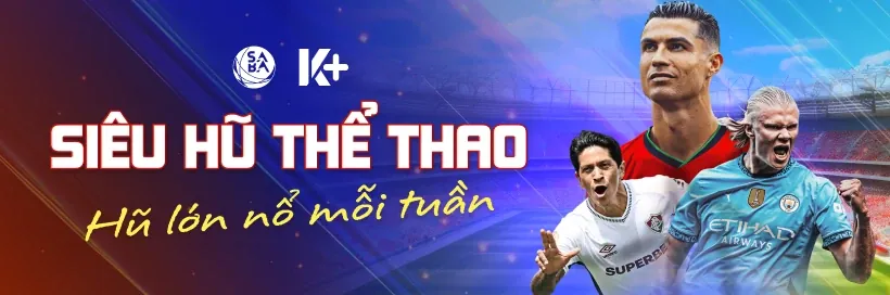 Hỗ trợ từ các tổ chức chuyên nghiệp về cờ bạc
